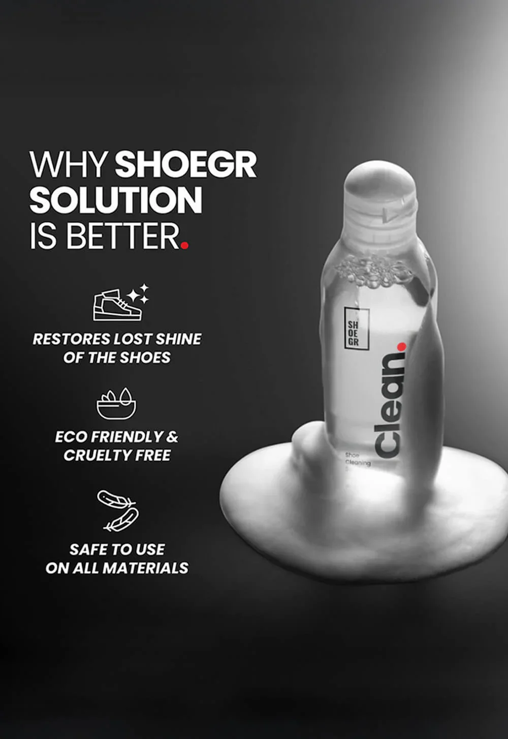 Standard Shoe Cleaning Kit - Image 4